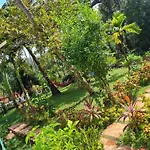 Tropical Riverside Heritage Villa